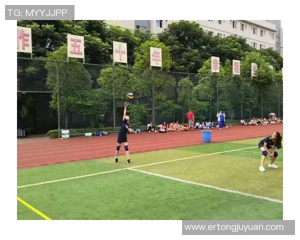 成都与武汉排球队对决赛后分析与经验总结